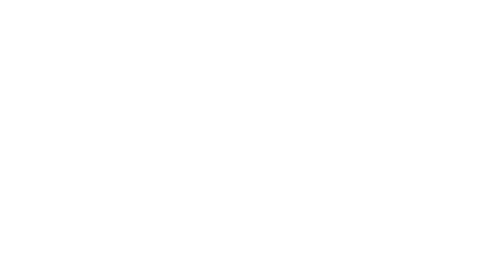 Logo DSE