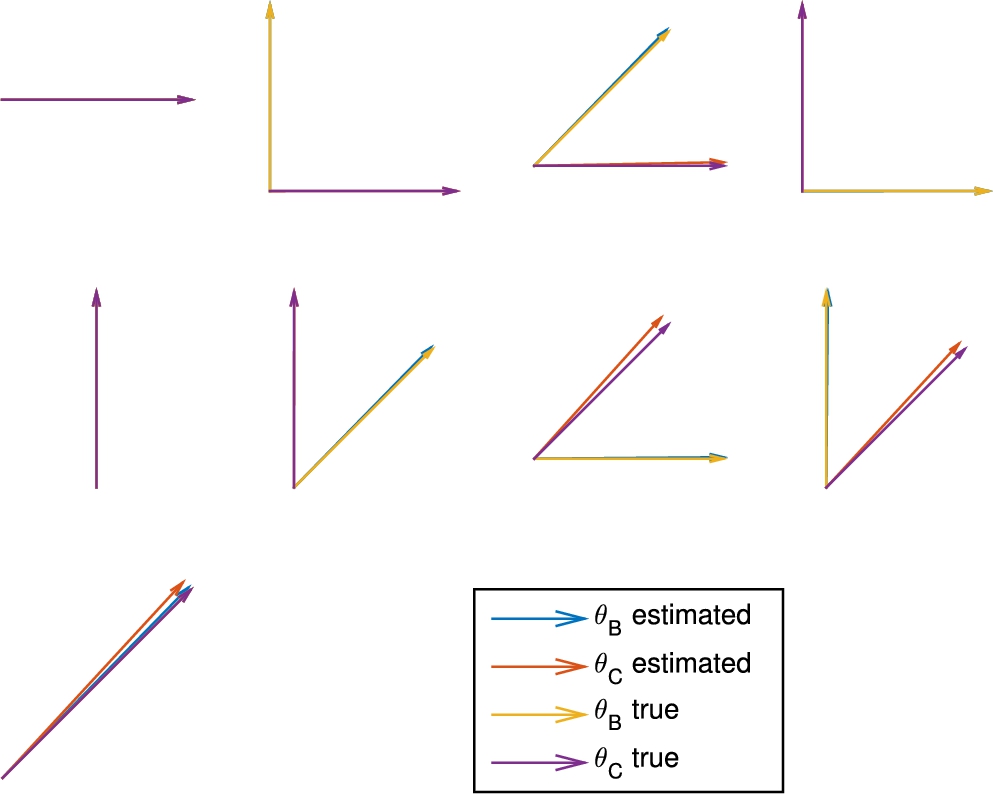 Reconstruction of the orientation of the inclusions B and C.