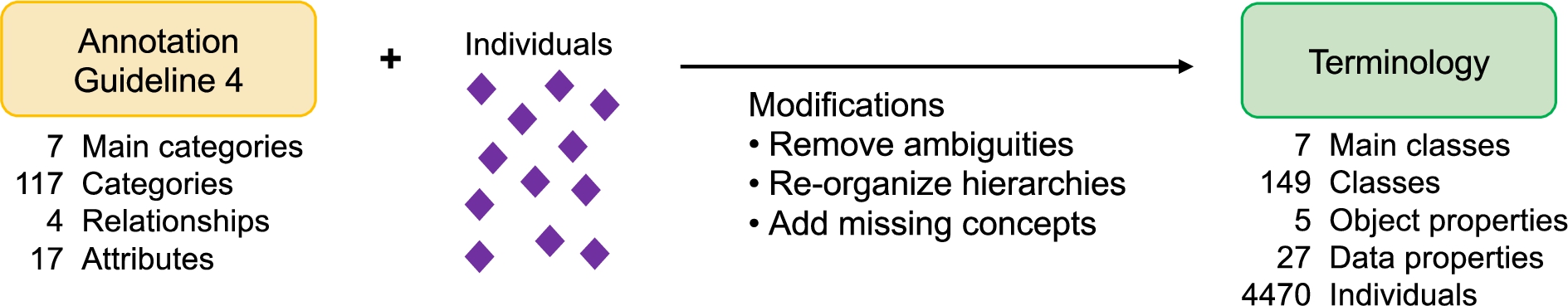 Terminology development. The annotation guideline from the fourth annotation session was converted into a terminology. Annotation categories were converted into ontology classes, relationships into object properties, and attributes into data properties. Then the individuals of documents and labels were added. Additional modifications were incorporated as needed, such as removing ambiguities, re-organizing hierarchies, and adding missing concepts. This resulted in the AAENOTE which models and provides an index of annotated documents.