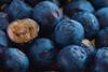 A close up of blueberries one has been cut open to show the yellow flesh under the blue skin