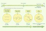 A diagram showing the increasing strength of force for different kinds of bonding - London dispersion forces, dipole-dipole interactions, hydrogen bonds and ionic bonding