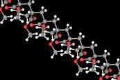 Poly(methyl methacrylate) molecule. Atoms are represented as spheres and are colour-coded: carbon (grey), hydrogen (white) and oxygen (red)