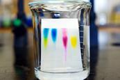 Chromatography cover image