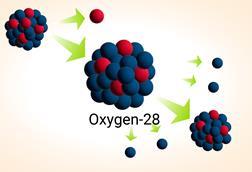 A diagram showing the nucleus of and atom that starts as Fluorine 29 and loses a proton to become Oxygen 28 which then loses four neutrons to become Oxygen 24