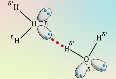 A diagram showing the hydrogen bond between two water molecules