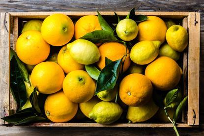 Oranges and lemons image