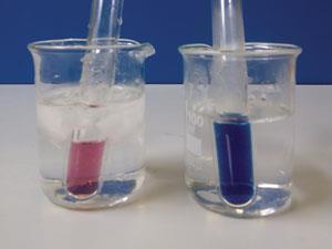 Cobalt chloride equilibrium