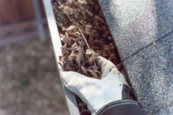 Close-up hand in gloves cleaning dried leaves from gutter in America