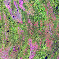 Landsat 5 TM Surface Reflectance