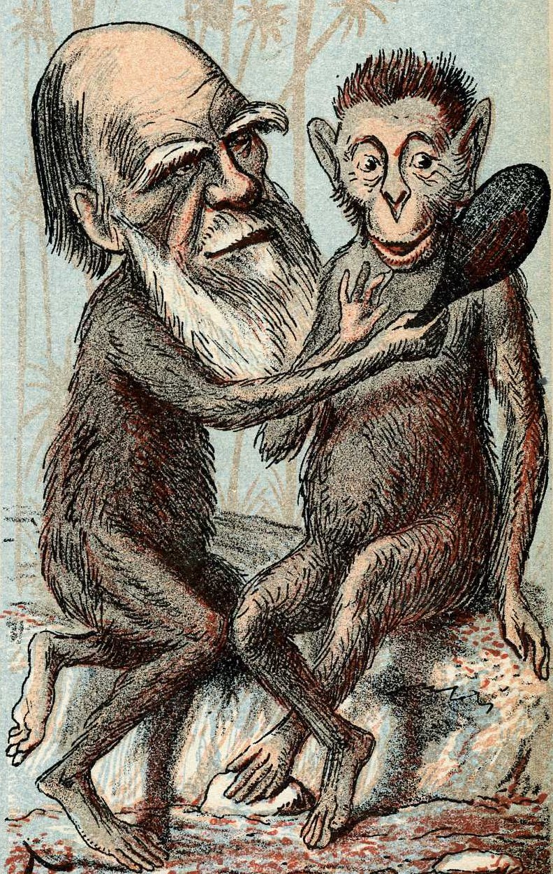 Caricature of Darwin in 1874