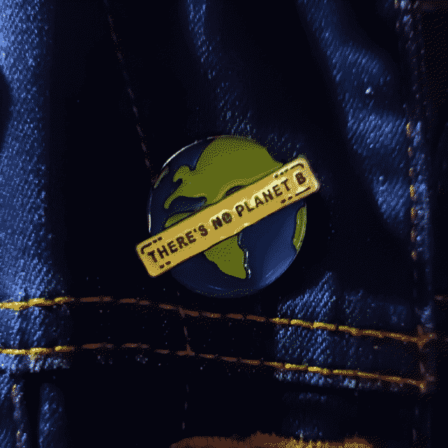 Earth shaped pin badge.