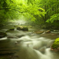 Smoky Mountain NP