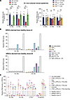 Calcipotriol represses IL-36α/γ expression in mouse epidermal keratinocytes