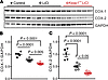 COX-1 and COX-2 from kidneys of WT-Chow, WT-<span class='search_term_hig...