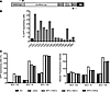 Rescue of enriched capsid sequences and evaluation of selected capsids for