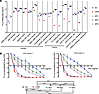 In vitro transduction experiments using rAAV-FLuc vectors.