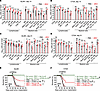 CD8+ T cells are required for ZIKV efficacy in mice bearing primary tumors.