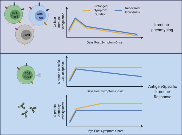 graphical abstract