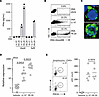 Cathelicidin peptide FR-29 activates pDCs more potently than LL-37 by bindi