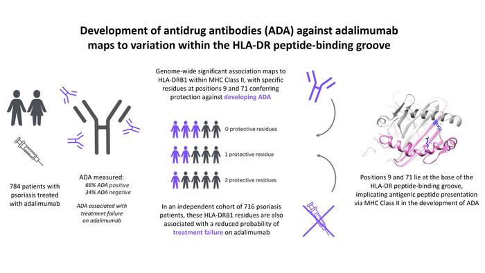 graphical abstract