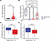 miR-33 levels increase in BAL and lung CD45+ cells in patients with IPF, an