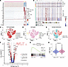 Anti–PD-1 treatment promoted the activation and proliferation of malignant