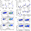 Proliferating T cells are depleted by short-course ATRi but rapidly rebound