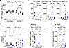 CD8+ T cell recovery in TILs after short-course ATRi plus RT requires trans