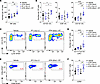 Short-course ATRi plus RT promotes accumulation of inflammation-associated