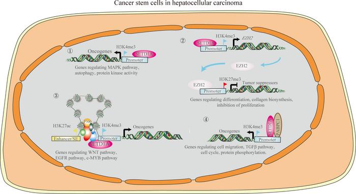 graphical abstract