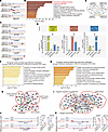 SETD1A promotes HCC stemness and progression by regulating histone modifica