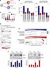 SARS-CoV-2 infection of human monocyte–derived macrophages upregulates the