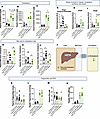 Intestinal FGF15 regulates bile acid synthesis, leading to altered choleste