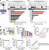 Agonistic anti-DCIR mAb induces tyrosine phosphorylation and SHP2 recruitme