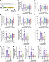 Agonistic anti-DCIR mAb ameliorates experimental acute peritonitis.