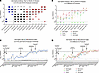 Lag before the detection of anti-spike antibody titers in IG replacement pr