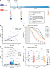 4CMenB vaccine elicits hSBA response in PHIV and HC participants.