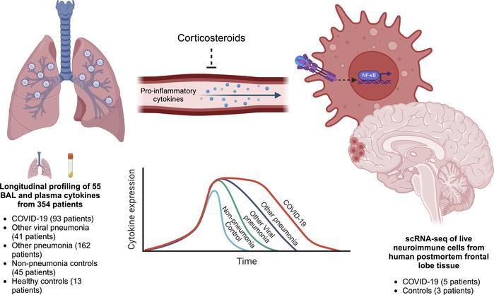 graphical abstract