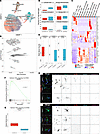 Microglia exhibit distinct transcriptional responses in patients with COVID