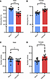 Infected mice display locomotion differences compared with mock-infected mi