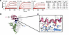 Binding kinetics and structure of trimeric BQ.1 S proteins in complex with