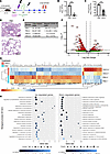 O5C2 protects K18-hACE2 TG mice from BA.5 infection.