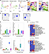 Genotype- and phenotype-based clustering of tumor microenvironments in prim