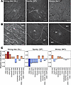 Reflectance imaging–based patterns of tissue organization predictive of cel