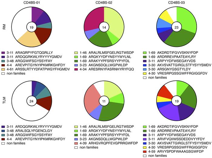 mAb clonal families within and across derivative B cell populations.
Pie...