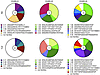 mAb clonal families within and across derivative B cell populations.