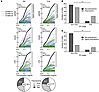 Enrichment of polyreactivity among VH4-utilizing CD4bs mAbs.