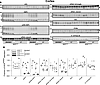 standard = 5, AC6loxlox <span class='search_term_highlight'>Li</span>+ =...