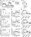 PGC1α alters mitochondrial fuel preference in podocytes.