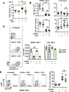 2DG treatment in vivo causes decreased target clearance during MCMV infecti